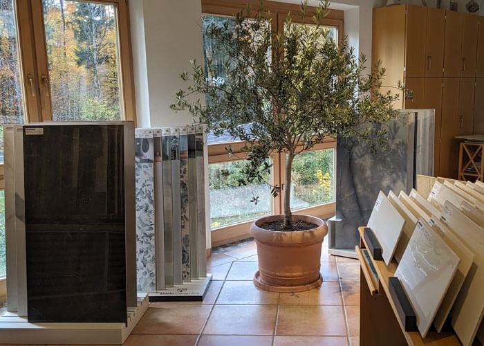 Fliesenausstellung Obergeschoß mit Olivenbaum und Mustern von Marmoroptik und Wandfliesen